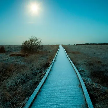 מלון Court טולאמור